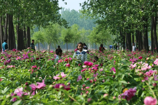 （菏澤市東明黃河森林公園。圖片來(lái)源：菏澤市攝影家協(xié)會(huì)）